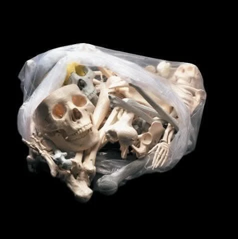 "Bag Of Bones - Large" Halloween Prop 1 "Bag Of Bones - Large" Halloween Prop