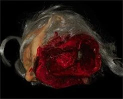 "Big Mouth Severed Head" HD Studios Bloody Halloween Prop -Thehorrordome Horror Props Verkoop big mouth severed head hd studios bloody halloween prop 8671217409