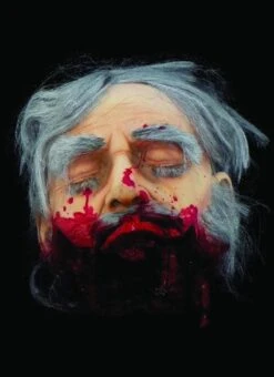 "Big Mouth Severed Head" HD Studios Bloody Halloween Prop -Thehorrordome Horror Props Verkoop big mouth severed head hd studios bloody halloween prop 8671221889