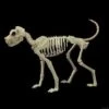 Buster Bonez Dog Skeleton Halloween Prop