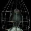 "Crow In Cage" Animated Halloween Prop