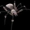 "Giant Spider With LED Eyes" Monster Halloween Prop
