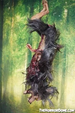 Gutted Baby Werewolf Hanging Prop -Thehorrordome Horror Props Verkoop gutted baby werewolf hanging prop 15068684025904