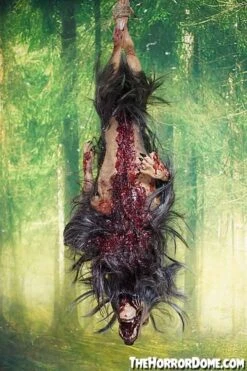 Gutted Baby Werewolf Hanging Prop -Thehorrordome Horror Props Verkoop gutted baby werewolf hanging prop 15068684058672