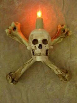 "Haunted Hallway" Haunted House Props - Package Deal 15 "Haunted Hallway" Haunted House Props - Package Deal -Thehorrordome Horror Props Verkoop haunted hallway haunted house props package deal 6927041232944