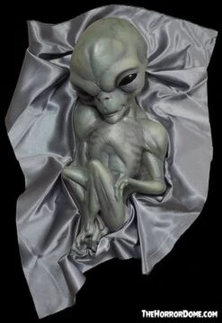 "Roswell Alien Baby Crash Victim" HD Exclusive Halloween Decoration -Thehorrordome Horror Props Verkoop new for 2022 roswell alien baby crash victim hd exclusive halloween decoration 30106370048048