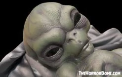 "Roswell Alien Baby Crash Victim" HD Exclusive Halloween Decoration -Thehorrordome Horror Props Verkoop new for 2022 roswell alien baby crash victim hd exclusive halloween decoration 30106412580912