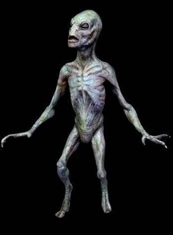 "Reptilian Alien" Professional Halloween Prop - 3 Foot 1 "Reptilian Alien" Professional Halloween Prop - 3 Foot