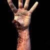 "Shark Bite Silicone Arm" Bloody Body Part Prop