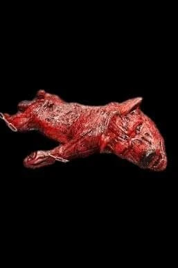 "Skinned Zombie Dog" Bloody Animal Prop 1 "Skinned Zombie Dog" Bloody Animal Prop